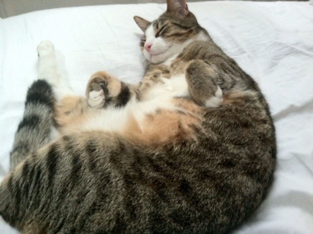 2021年季后赛：库里连续投出关键三分，带领勇士逆风翻盘，库里季后赛得分