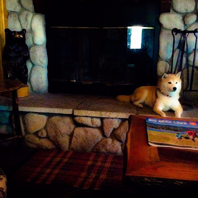 开云官方-2021年总决赛：库里在第三节一人砍下21分，带领球队最关键的胜利！