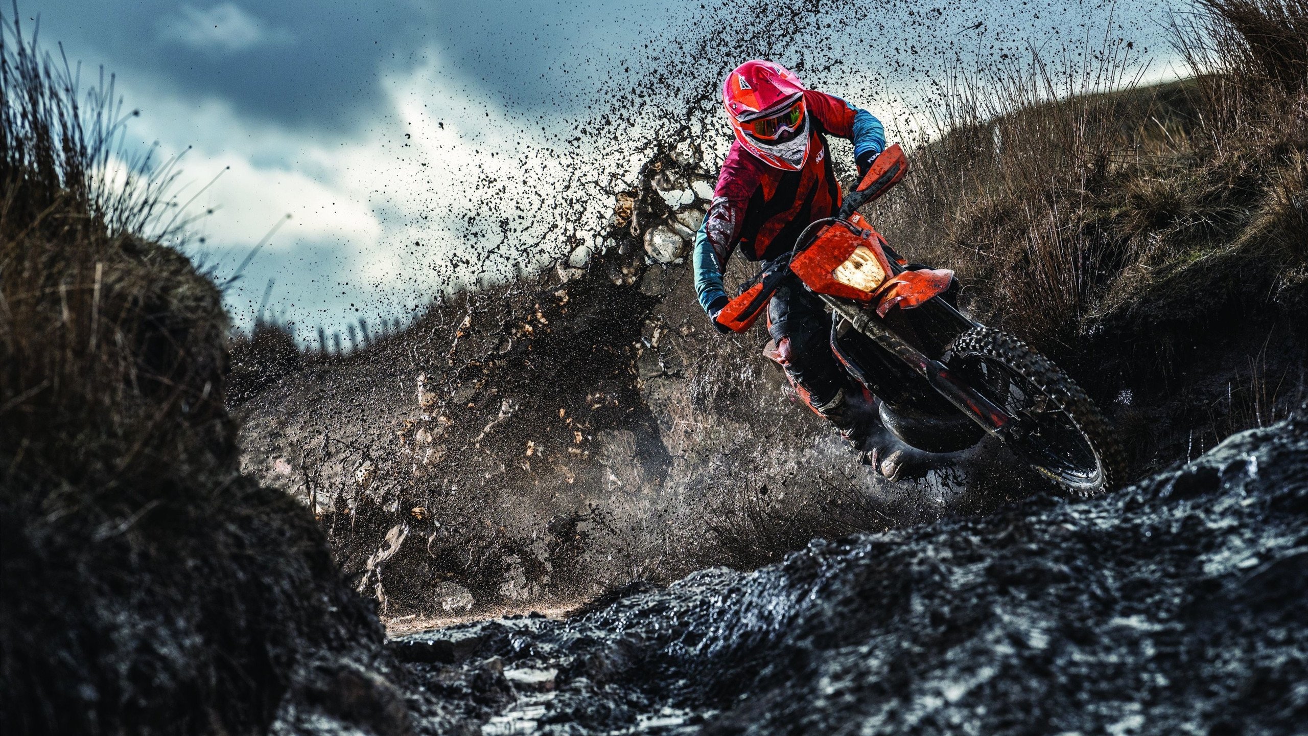 世界杯历史裁判争议事件，2020年世界杯裁判